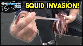 Squid Invasion Pier Fishing for GIANTS [upl. by Croydon]