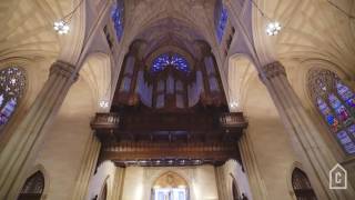 Saint Patricks Cathedral  Curbed Tours [upl. by Julee]