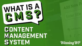 What is a CMS Content Management System [upl. by Vel]