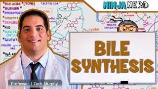 Gastrointestinal  Bile Synthesis [upl. by Oileve]