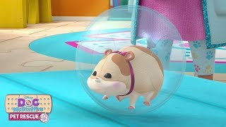 Runaway Roller  Doc McStuffins Pet Rescue  Disney Junior [upl. by Moyra]