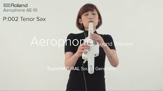 Roland Aerophone AE10 Sound Preview [upl. by Enorej386]