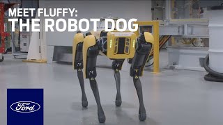 Meet Fluffy the Robot Dog  Innovation  Ford [upl. by Ynnor]