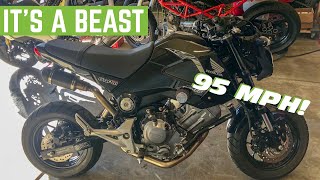 Whats It Like To RIDE A 300CC Swapped HONDA GROM [upl. by Annodahs]