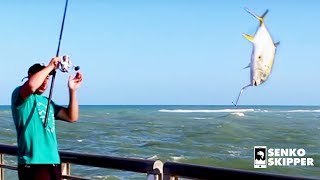 The Craziest Pier Fishing in America Sebastian Pier Florida [upl. by Phionna423]