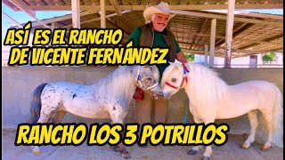 El Rancho de Vicente Fernandez los 3 potrillos la Casa de Vicente Fernandez [upl. by Silenay]