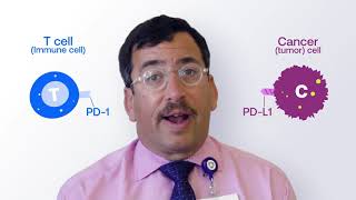 Explaining Immunotherapy PDL1 and PD1 [upl. by Paulsen474]