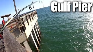 Pier Fishing for Beginners  Easy Fishing at the Gulf State Park Pier [upl. by Sofko140]