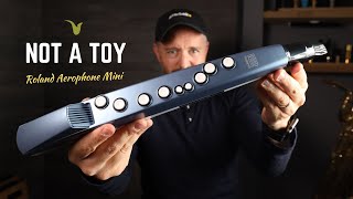 Sax in Your Pocket Roland Aerophone Mini Review [upl. by Inod901]