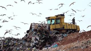 Landfill facts and statistics  A global problem [upl. by Paolina]