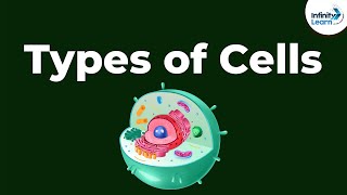 Types of Cells  Dont Memorise [upl. by Phenica]