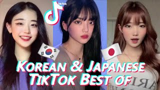 Cute Asian Girls on TikTok 5 💖🎶 [upl. by Ynohtona210]