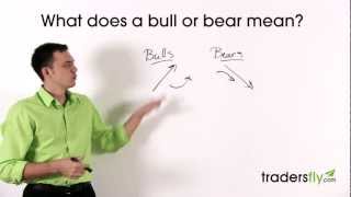 What Does a Bull and Bear Mean in the Stock Market [upl. by Ettevram23]