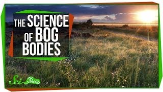 Chemistry amp Corpses The Science of Bog Bodies [upl. by Idleman]