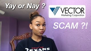 VECTOR MARKETING  CUTCO A SCAM [upl. by Virgel]