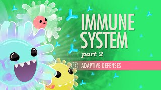 Immune System Part 2 Crash Course Anatomy amp Physiology 46 [upl. by Hughes]