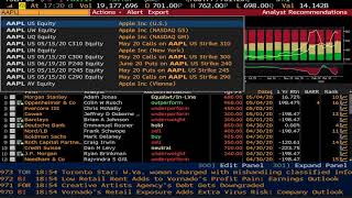 Bloomberg Terminal Part 1  Quick Introduction to Basic Functions [upl. by Sumetra]