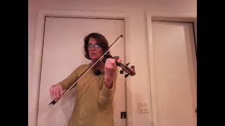 Exuberance  Mozart violin duet  Part A [upl. by Anedal]