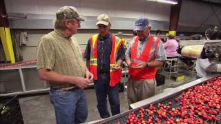 Washington Cherry Harvest  Americas Heartland [upl. by Placia]