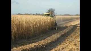 Miscanthus Grass Harvesting [upl. by Cleland590]