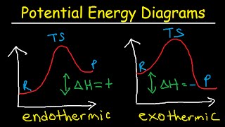 Potential Energy Diagrams  Chemistry  Catalyst Endothermic amp Exothermic Reactions [upl. by Slack75]