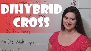 Punnett Squares  Dihybrid Cross [upl. by Nima]