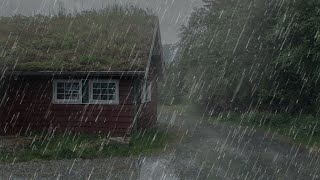 Lluvia Relajante para Dormir  Sonido de Lluvia sin Truenos en Bosque Brumoso  ASMR [upl. by Morissa]