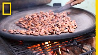 Watch the Ancient Art of ChocolateMaking  National Geographic [upl. by Enyrhtac]