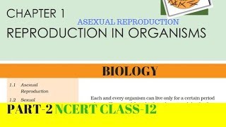 Part2 REPRODUCTION IN ORGANISMS chapter1 NCERT class 12th biology [upl. by Sussman]