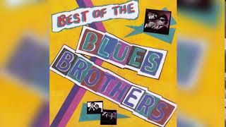 Blues Brothers  Best Of 1981 Full Album [upl. by Imef]