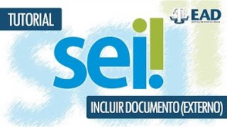 SEI  Incluir documento externo [upl. by Cherice739]