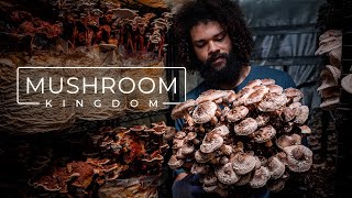 Cultivating Gourmet and Medicinal Mushrooms  PARAGRAPHIC [upl. by Notnats]