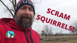 Squirrel Deterrents What Really Works [upl. by Brandy]