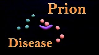 Prion  prion disease [upl. by Charin]