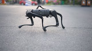 Unitree A1 Robot Dog Is 2x Faster Than Boston Dynamics Spot [upl. by Nosrej]