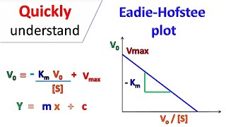 Eadie Hofstee Plot [upl. by Zane]