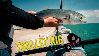 Spring Fishing on the SKYWAY Pier Using a Trolley Rig [upl. by Jaqitsch270]