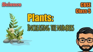 Class 5  Chapter 1  Plants Increasing the Numbers  Complete Lesson [upl. by Avlis]