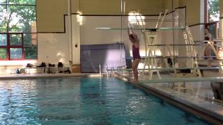 Teach a Flip for Springboard Diving [upl. by Tellford1]