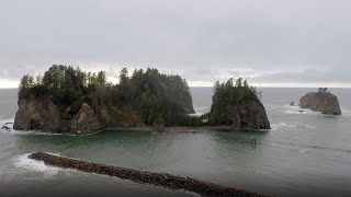 Quileute Tribe Uses the Forest for Timeless Traditions [upl. by Candace914]