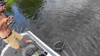 Bass Fishing the Cassadaga Lakes 2023 [upl. by Baily979]