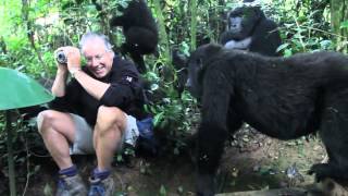 Extraordinary Encounter with Mountain Gorillas in Bwindi Uganda [upl. by Abbe]