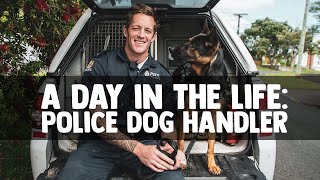 A Day in the Life Police Dog Handler [upl. by Renie217]