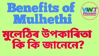 মুলেঠিৰ উপকাৰিতা । Benefits of Mulethi  EP23 WWT Assam [upl. by Slaohcin]