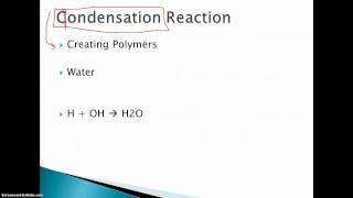 condensation and hydrolysis reactions [upl. by Collin]