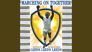 Leeds Leeds Leeds Marching On Together [upl. by Ellenehc462]