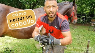 ► Como herrar un caballo 🐴 por los herradores Fernando Pérez Castañeda y Javier Buenaga [upl. by Geilich]