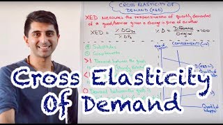 Y1 13 Cross Elasticity of Demand XED [upl. by Isoais]