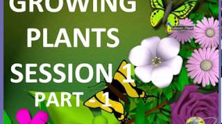 5th Class CBSE Science Growing Plants video lesson 1 part 1Worksheets link in desc [upl. by Atiuqel]