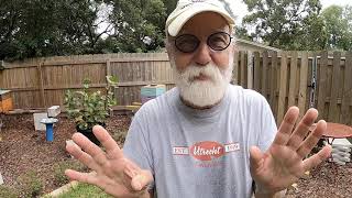 Treating Honey Bee Hives For Ants  Two Minute Beekeeping Tips [upl. by Yditsahc408]